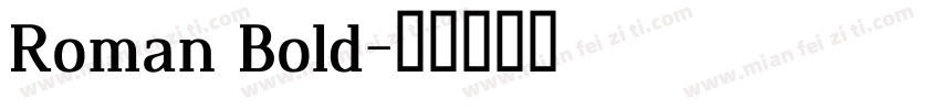 Roman Bold字体转换